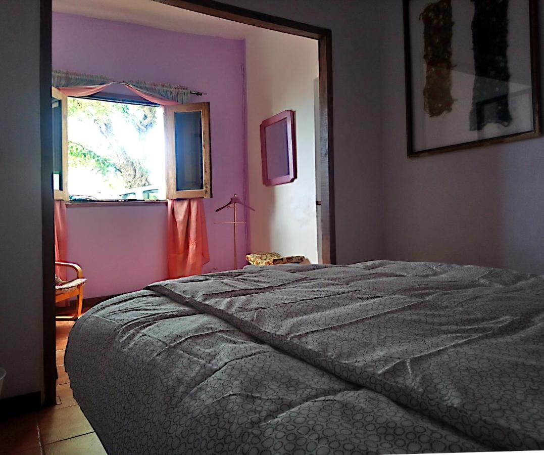 The Violet House Muy Cerca Del Aeropuerto Tenerife Norte Сан-Кристобаль-де-Ла-Лагуна Экстерьер фото